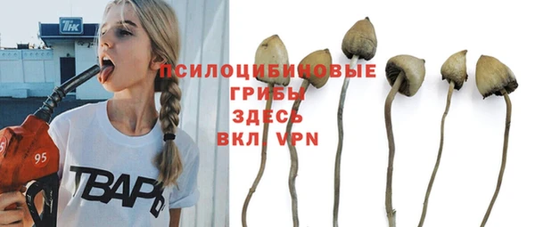 apvp Абаза