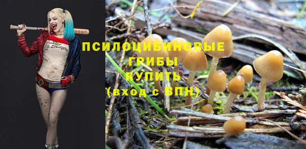 ешки Абдулино