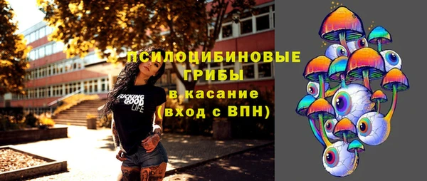 мяу мяу мука Няндома